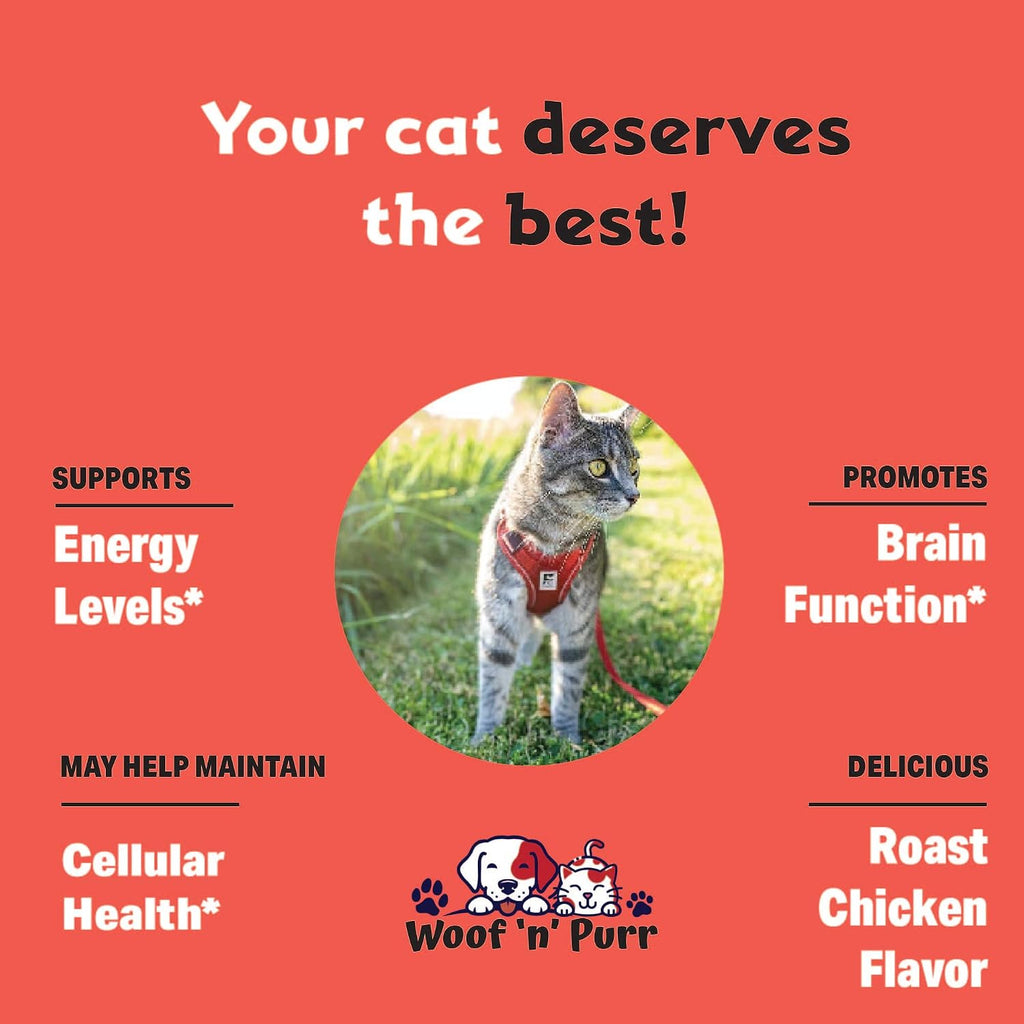 Feline Essential B12 cat supplement roasted chicken flavor bottle