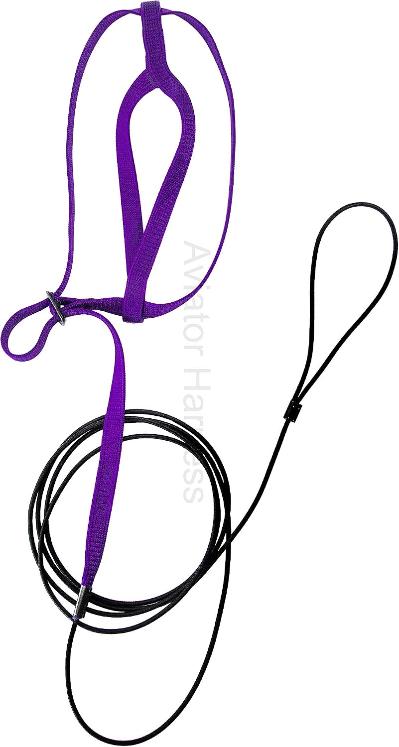 The Aviator bird harness elastic leash detail