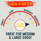 Canine Chews premium beefhide bones showcasing authentic imported quality
