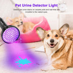 Escolite ultraviolet blacklight illuminating dried pet stains on a living room carpet.