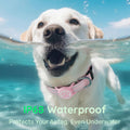 WhoseID airtag dog collar showing waterproof silicone housing