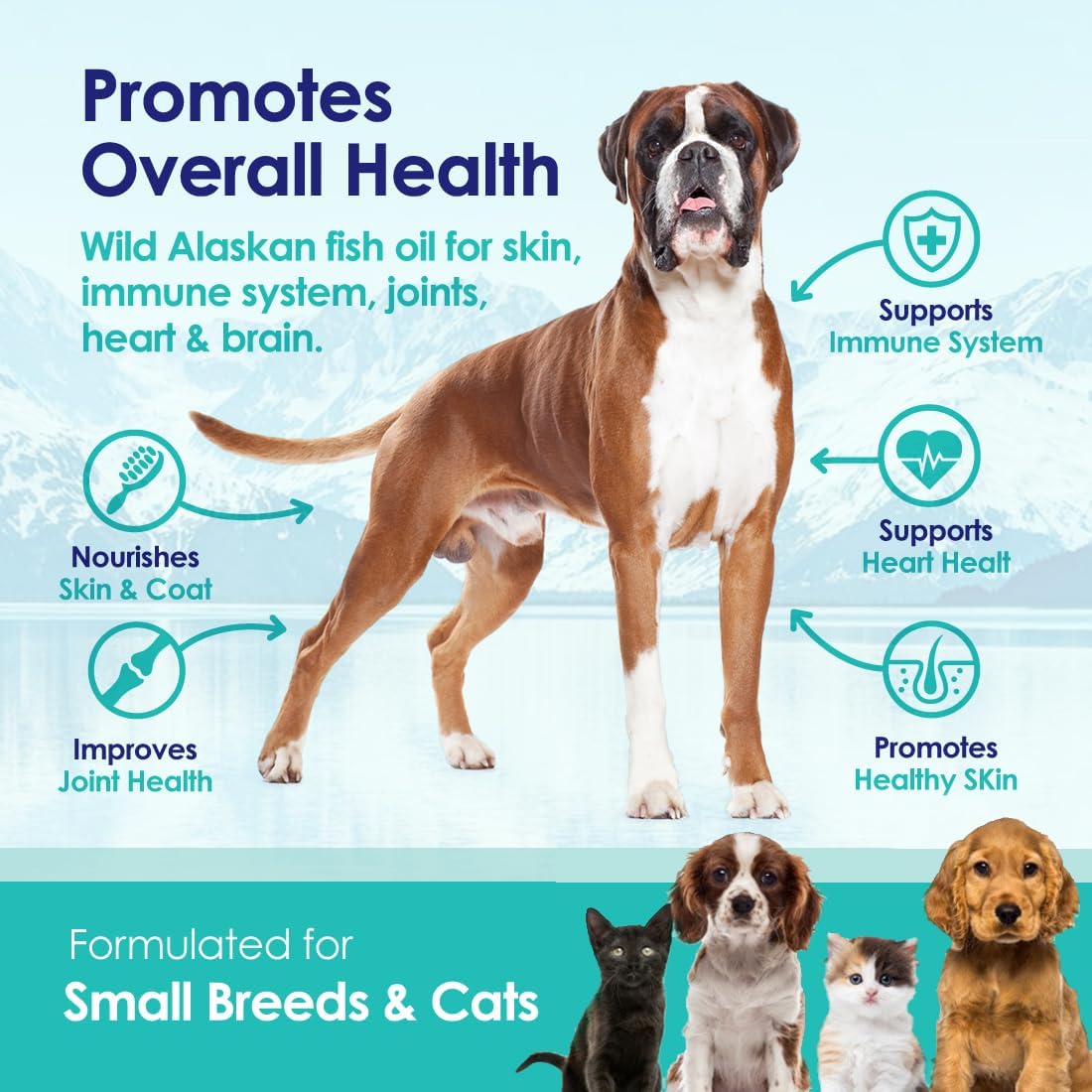 Wild Alaskan salmon oil mini capsules for cats and small dogs skin support