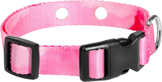 Gracie To The Rescue nylon replacement collar strap front view