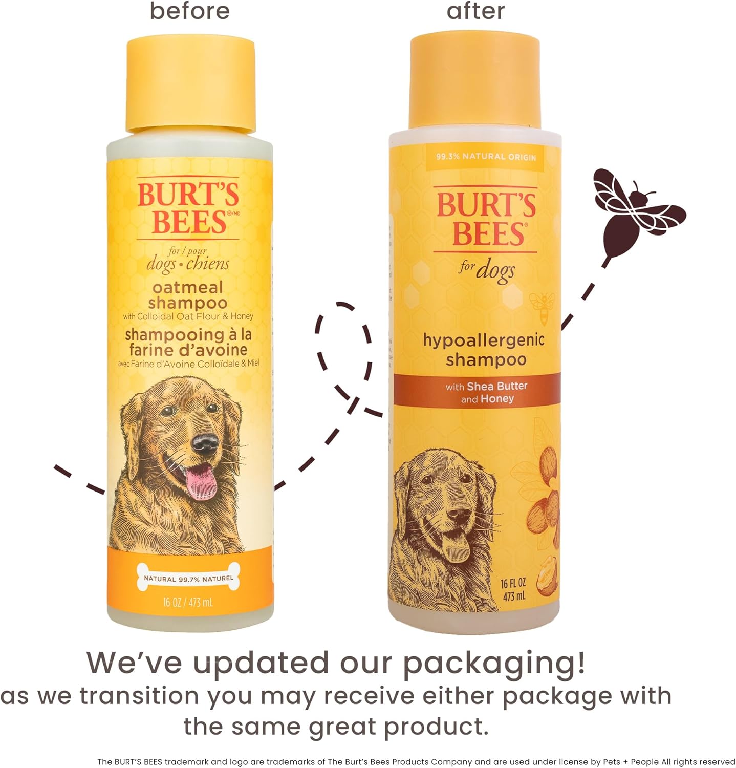 Burt's Bees dog shampoo bottle with shea butter and honey labels