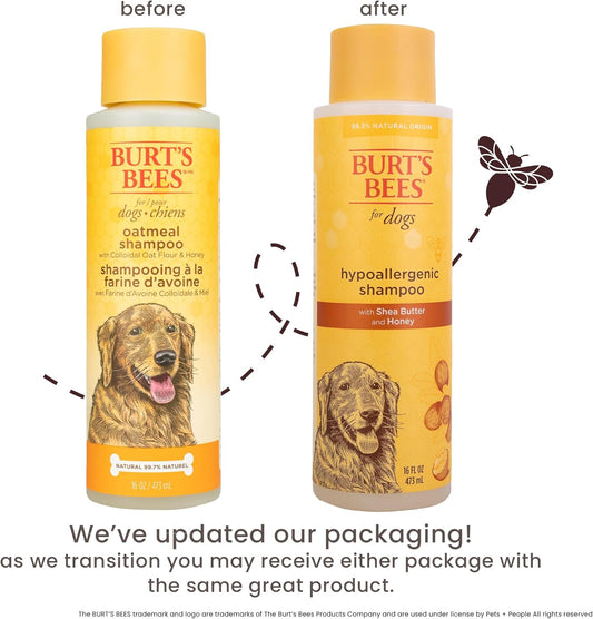 Burt's Bees dog shampoo bottle with shea butter and honey labels