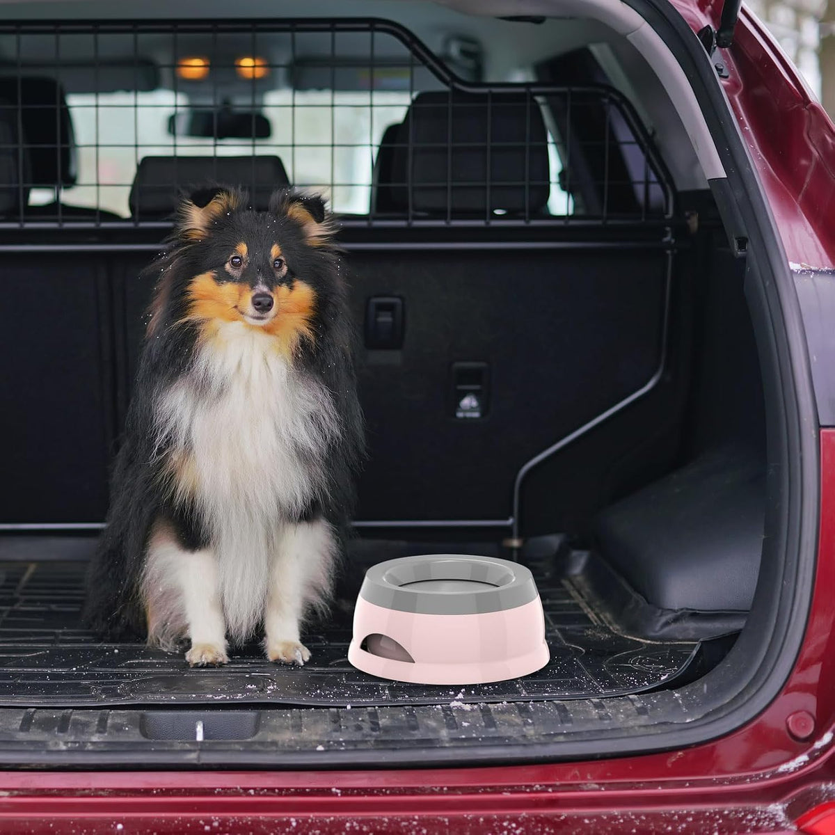 No spill dog water bowl with dual side handles for stable carrying