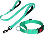 FunTags Reflective Hotpink Martingale Collar (16"-20") & Leash (5ft x 1") for Medium Dog, Escape-Proof with 2 Handles, Safe Night Walks, Durable Nylon, Quick-Release Buckle - Image 13