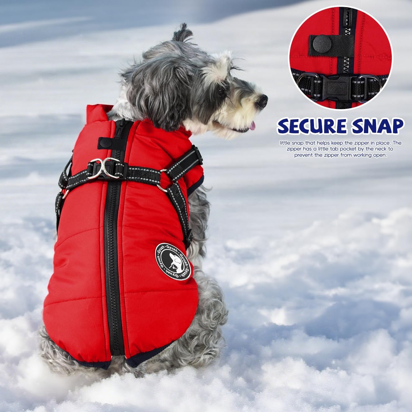 Small dog wearing Gyuzh waterproof winter coat