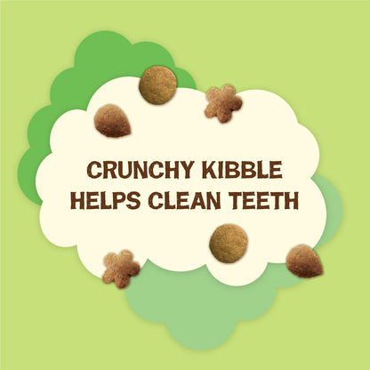 Authentic Friskies pet snacks crunchy kibble close up view.