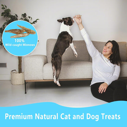 Jadingsfarm freeze dried whole minnow pet treats packaging side details