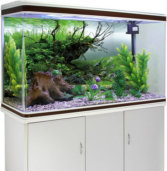Non glare imported aquarium poster attached to the exterior back of a fish tank
