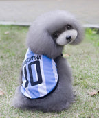 Small dog wearing Argentina World Cup football jersey