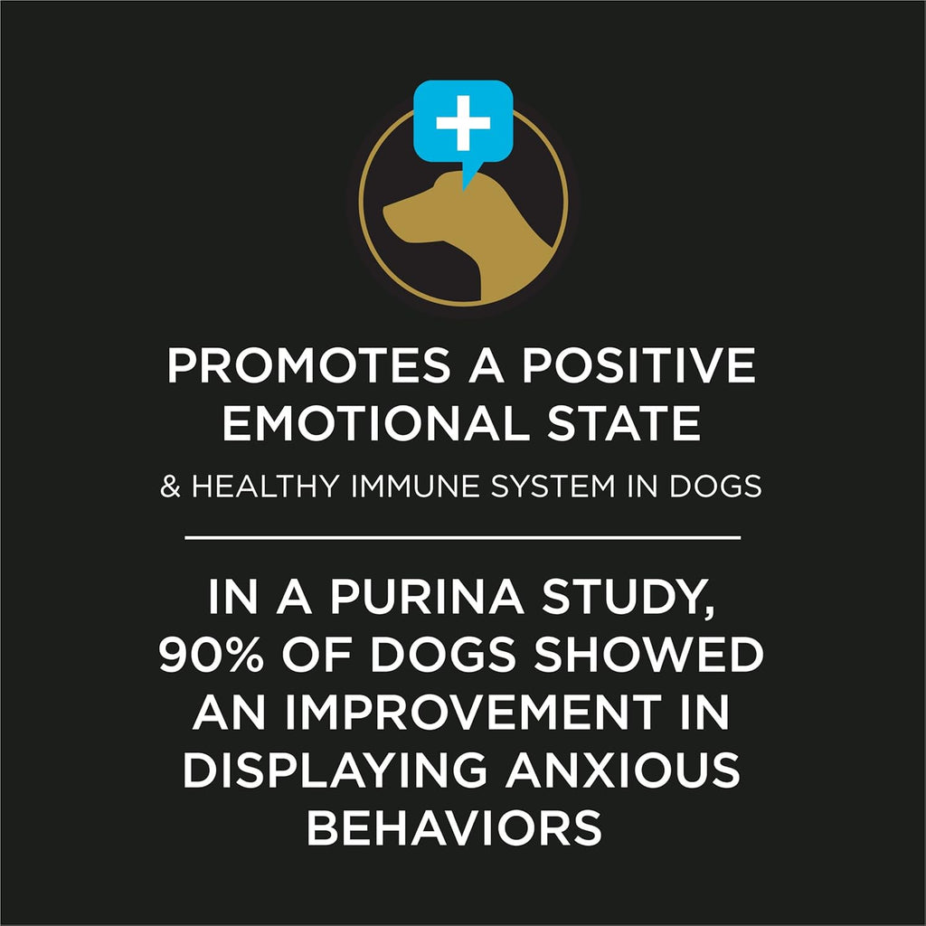 Dog anxiety probiotic supplement for separation anxiety management