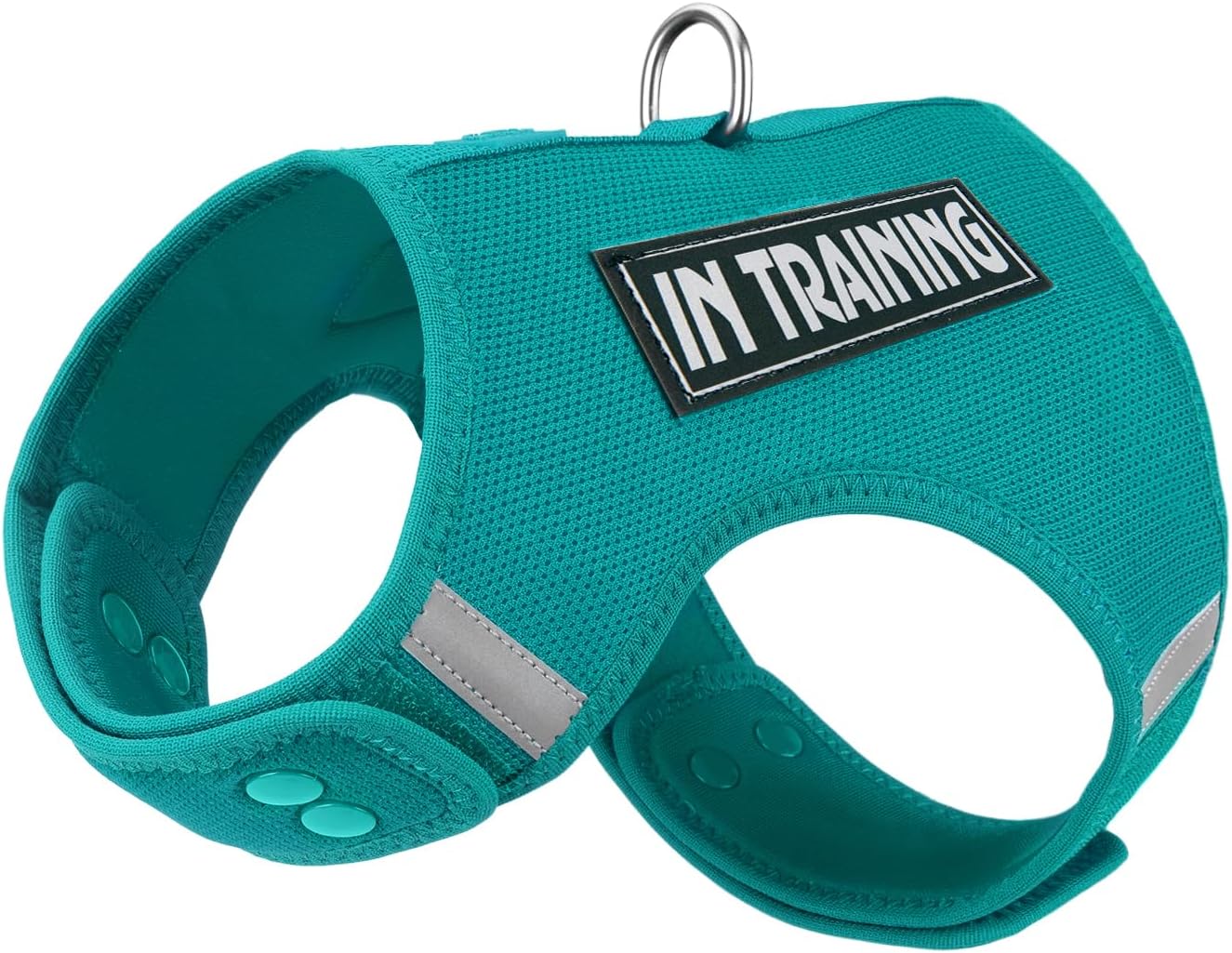 Dog Harness for Puppy - Adjustable Reflective Easy Put On Soft Mesh Vest for Small Dogs with 2 Patches (MARRS Green,XXS) - Image 9