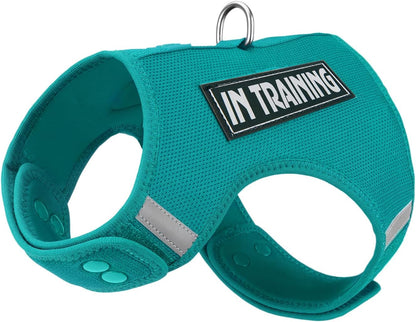 Dog Harness for Puppy - Adjustable Reflective Easy Put On Soft Mesh Vest for Small Dogs with 2 Patches (MARRS Green,XXS) - Image 9