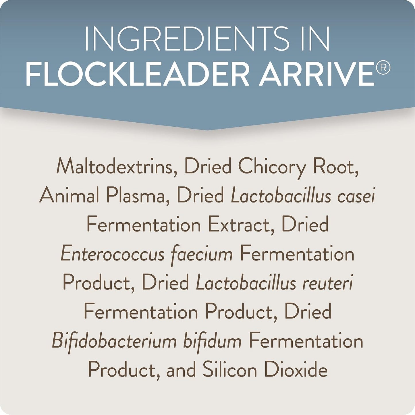 Authentic FlockLeader Arrive plasma protein and microbiome support formula for young birds