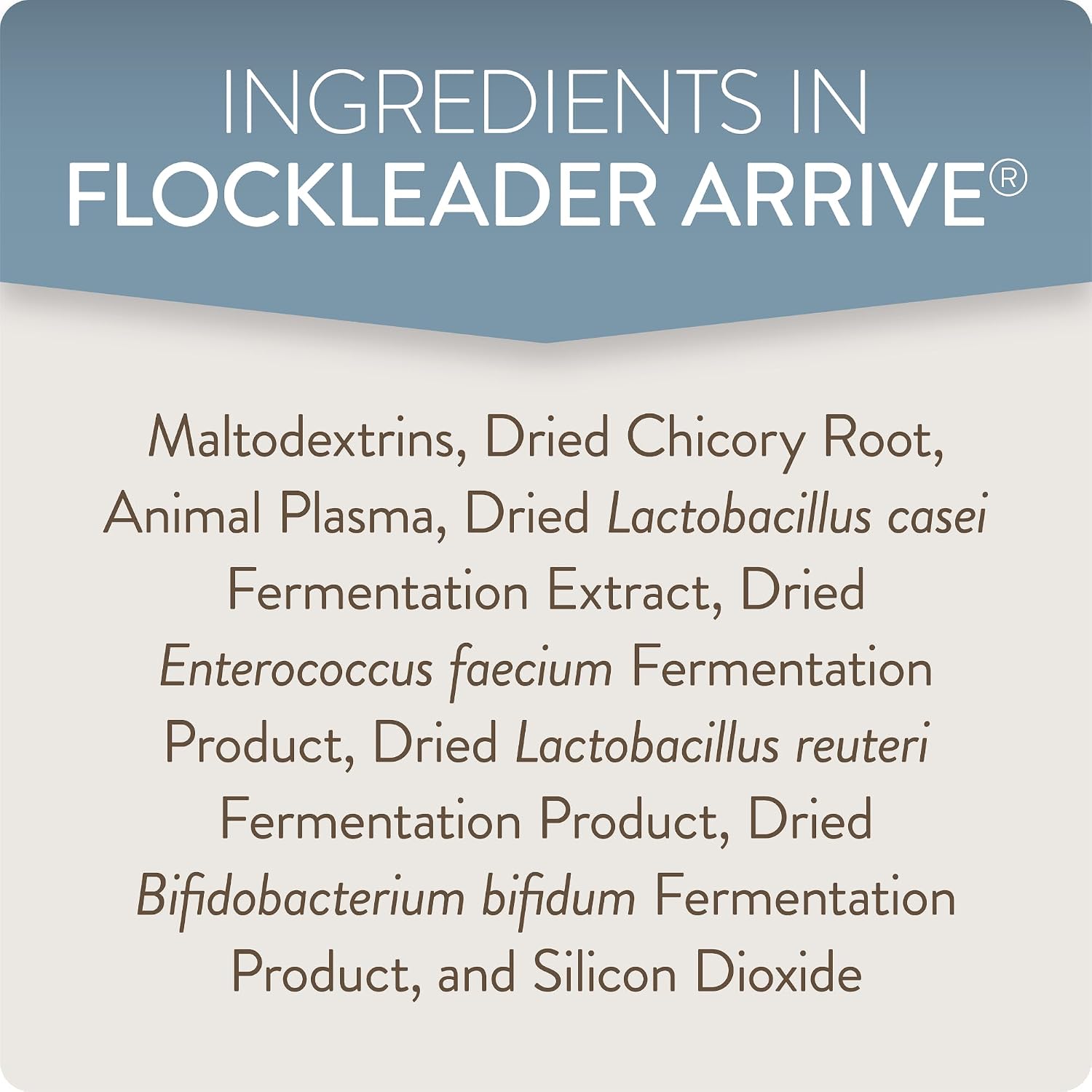 Authentic FlockLeader Arrive plasma protein and microbiome support formula for young birds