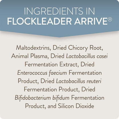 Authentic FlockLeader Arrive plasma protein and microbiome support formula for young birds