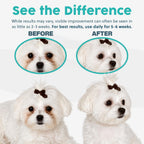 Tear Stain Remover for Dogs and Cats | Natural Supplement Suitable for All Breed Types | Pet Tear Stain Remover Powder | Made with Natural Ingredients | Beef Flavored - 1 Pack - Image 9