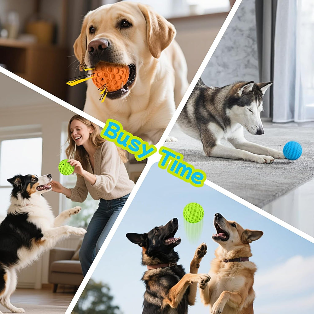 Havit dog ball being used for outdoor training
