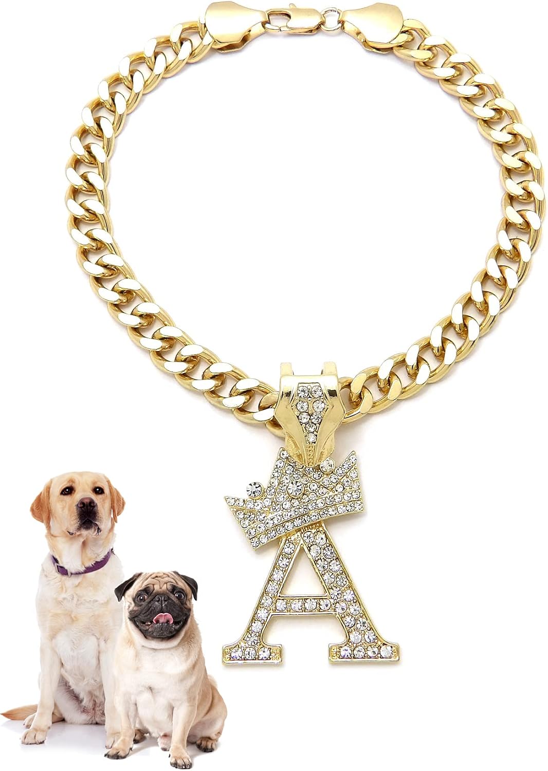Premium imported USA pet necklace with initial R pendant.