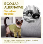 Hook and loop closure detail on cat pajamas