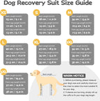 Rear view of dog recovery suit with zipper detail