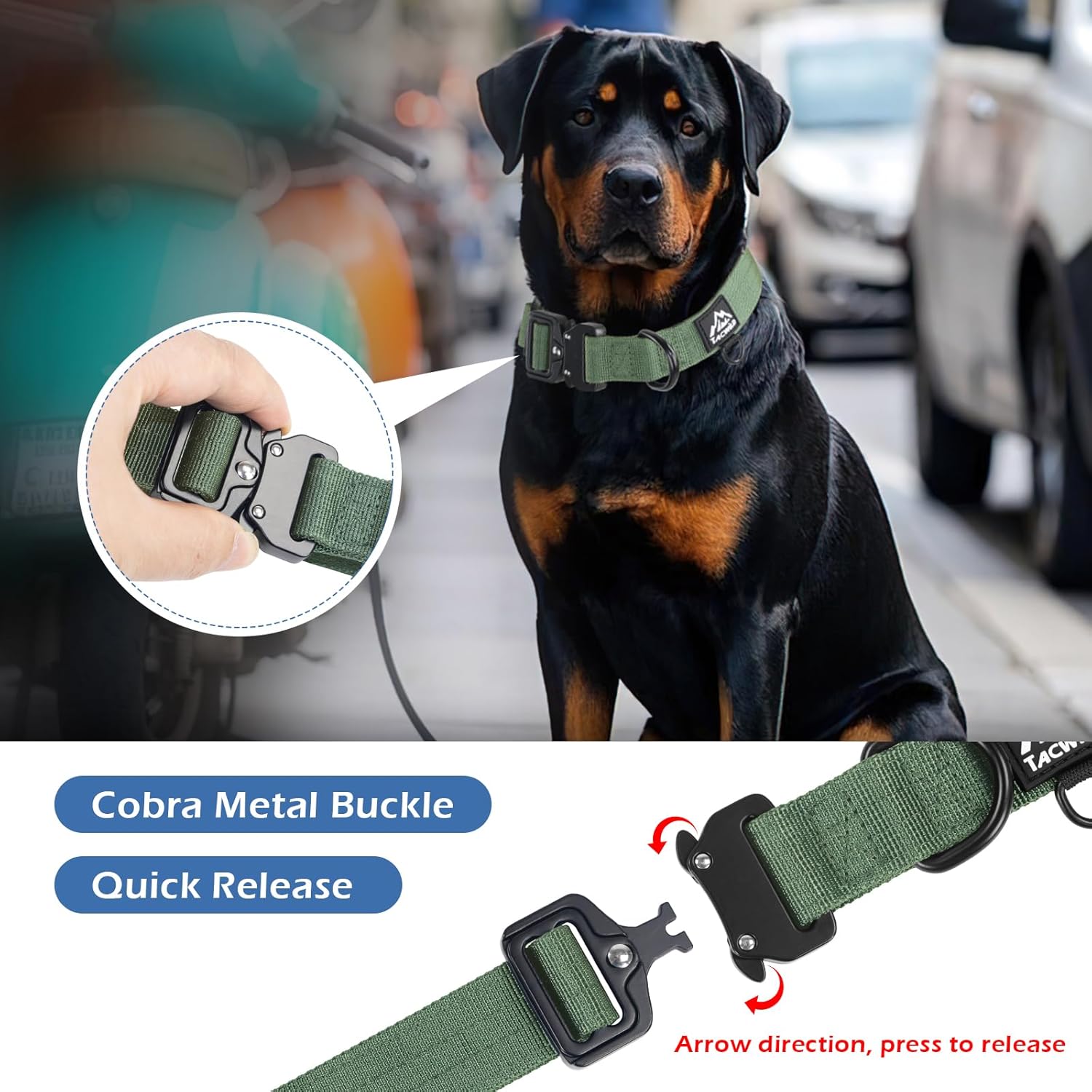 Tacwild tactical nylon dog collar adjustable buckle detail