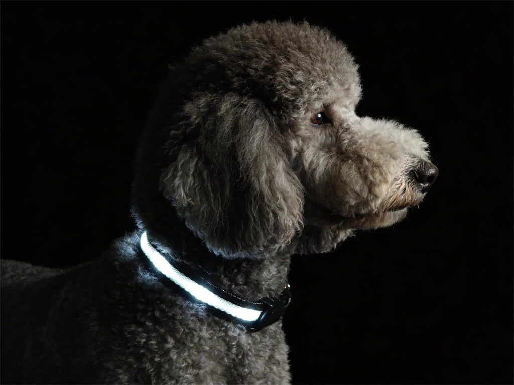 LED Dog Collar for Small Dogs & Toy Breeds - USB-C Rechargeable Light Up Dog Collar, Fully Waterproof Adjustable Glow Collar for Night Walking & Safety(Pink,S) - Image 14