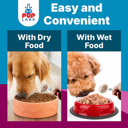 Pup Labs K9 Belly Bliss premium pet digestive care supplement container close up