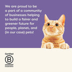High protein natural cat treat broth pouches arranged neatly to display brand authenticity.