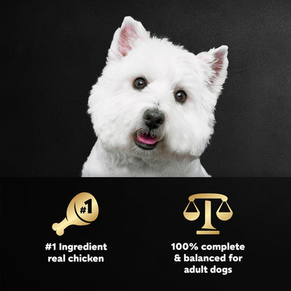 Cesar adult soft wet dog food pack of ten three ounce bowls