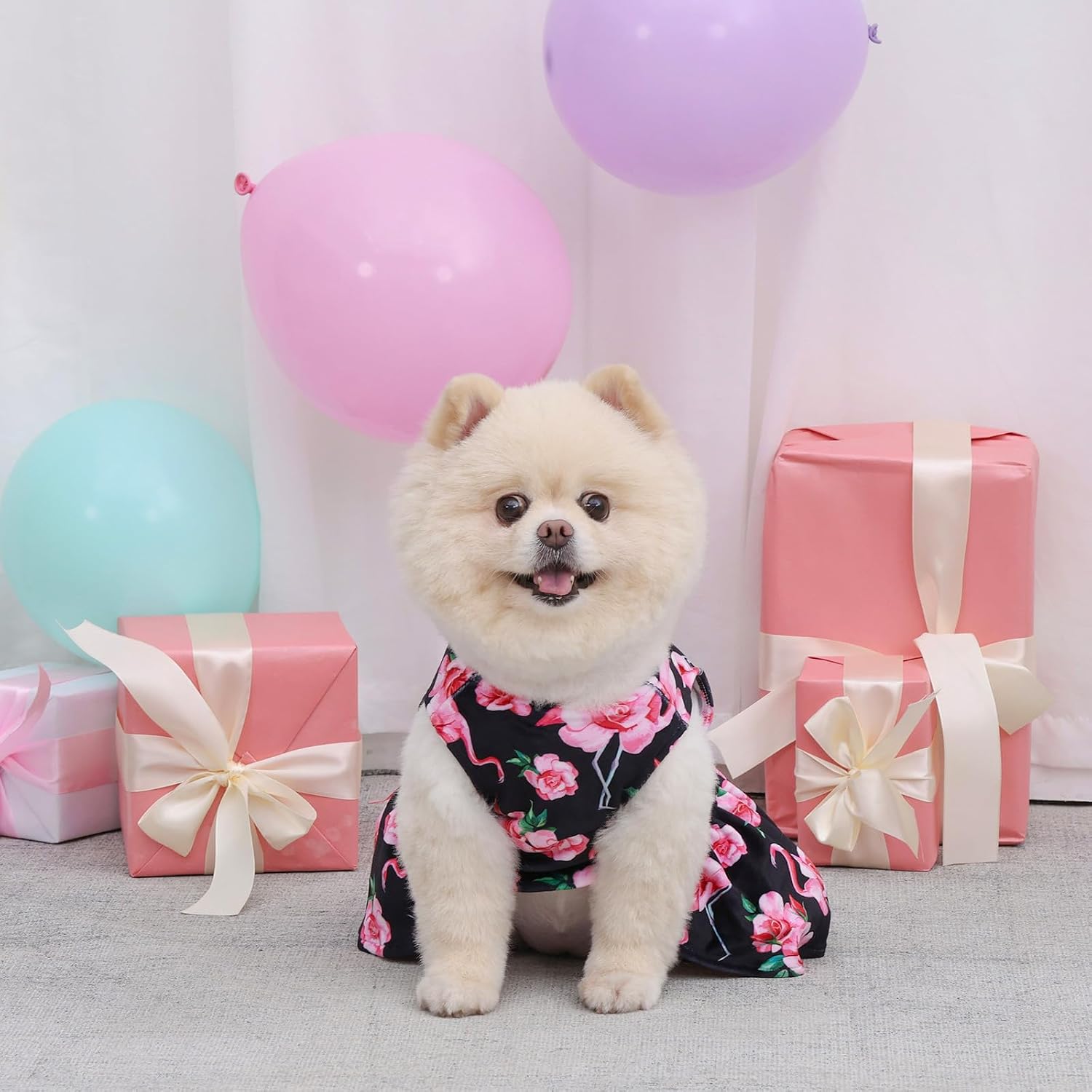 Red velvet puppy dress for holiday and everyday wear