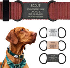 Personalized Dog Tags by ROAD iD | Silent & Durable | Jingle-Free Slide-On Design | Stainless Steel Name Tag Fits Any Collar | Multiple Colors & Sizes for Your Pet's Unique Style - Image 10