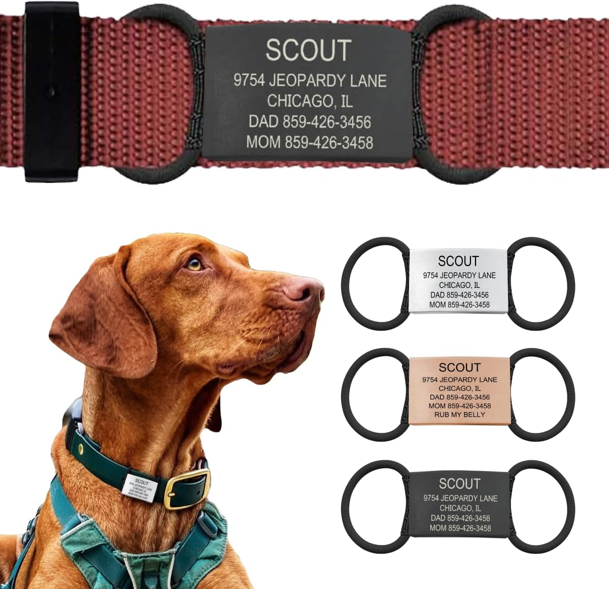 Personalized Dog Tags by ROAD iD | Silent & Durable | Jingle-Free Slide-On Design | Stainless Steel Name Tag Fits Any Collar | Multiple Colors & Sizes for Your Pet's Unique Style - Image 10