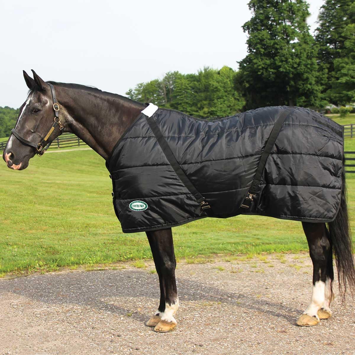 Two hundred and fifty gram poly-fill insulated green stable rug