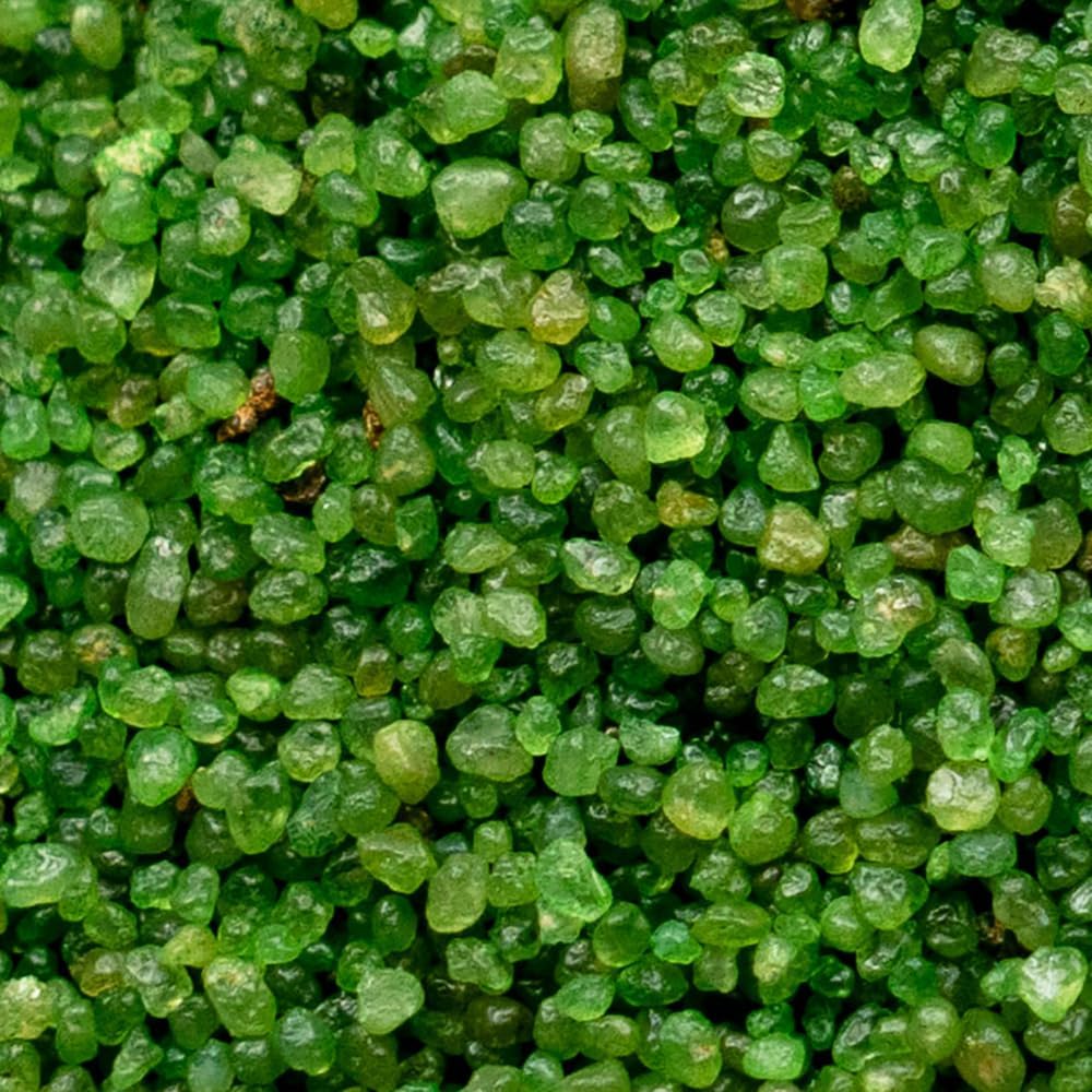 Artificial grass blades standing upright after silica infill