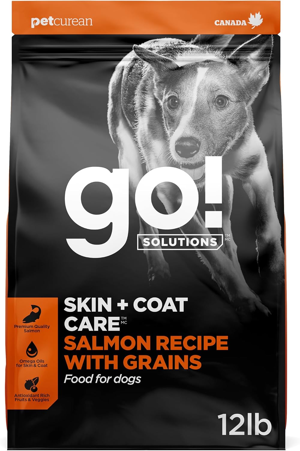Go! Solutions Skin + Coat Care Salmon Dry Dog Food, 22 lb | With Grains, Supports Healthy, Hydrated Skin & Soft, Shiny Fur, Paw Pad Health & Digestion, For Puppies, Adults & Seniors - Image 13