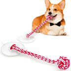 Interactive Dog Toys to Keep Them Busy, Tug of War, Dog Enrichment Toys for Aggressive Chewers, Puppy Teething Toys,Durable Rope & Chew Ball, Indoor Toys Small DogsRainbow - Image 10