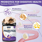 Dr. Foster dog digestive enzymes chewable supplement for seasonal allergy and itchy skin relief.