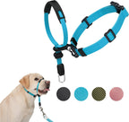 SVD.PET No-Pull Dog Headcollar for Easier Walks, Chew-Proof Protector to Increase Comfort, Simple Design, Easy to Wear and Adjust (Medium Size for Small and Medium Size Dogs) - Image 10