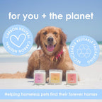 Eco friendly plant based soy wax melts packaging with pet safety verification