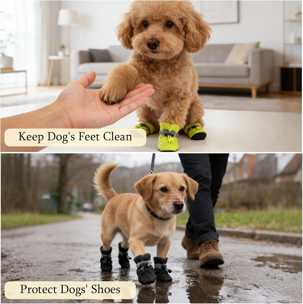 Small dog wearing black breathable pet boots