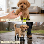 Small dog wearing black breathable pet boots