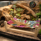 MinrzPet wooden bearded dragon bed front view colorful reptile hammock