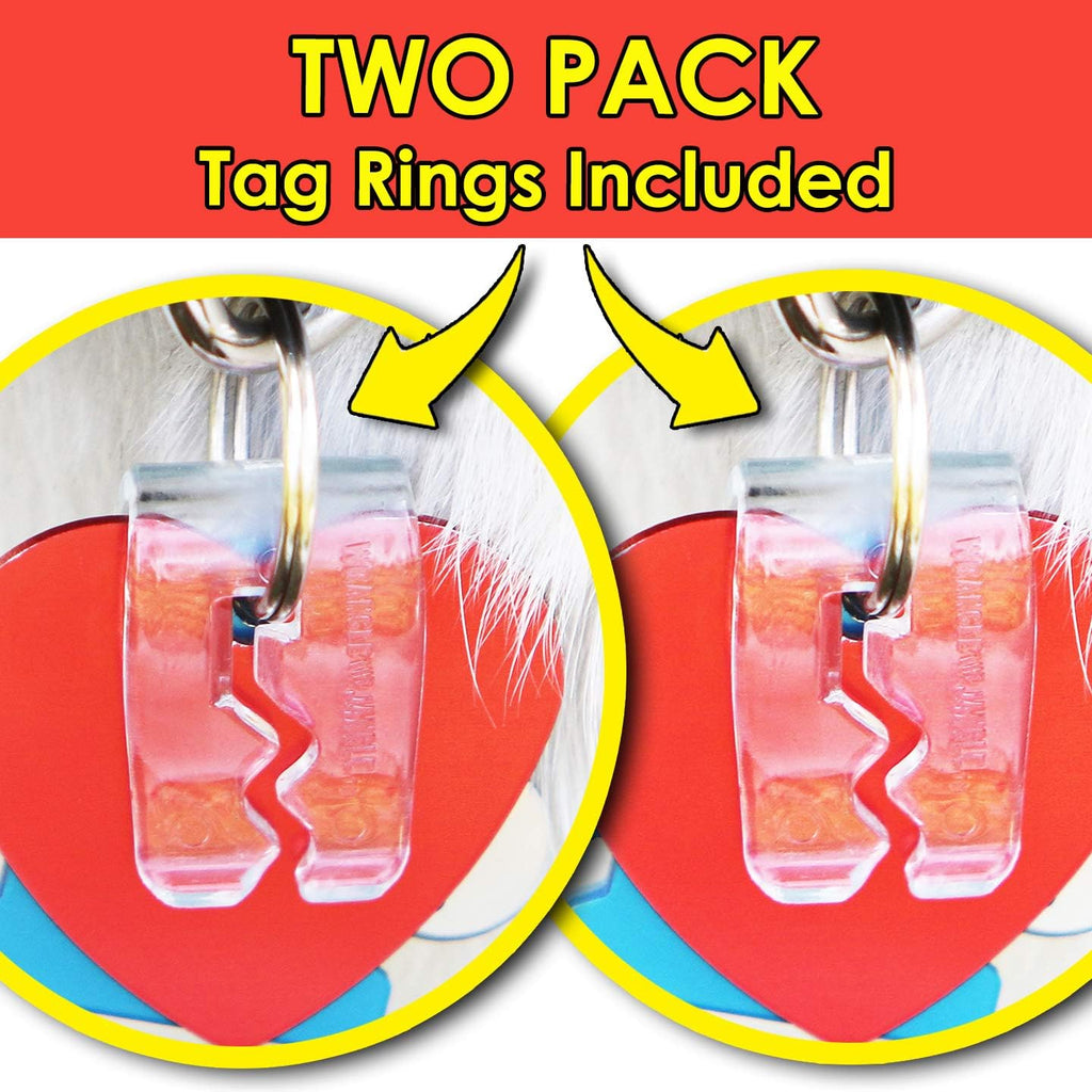 SilenTags Pet Tag Silencer Clear Two Pack front view attached to dog collar