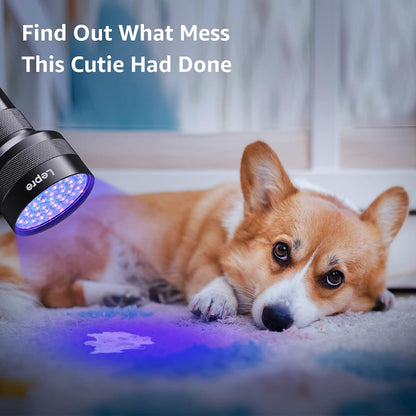 Lepro 395nm UV detector torch being used to find hidden pet urine stains on carpet.