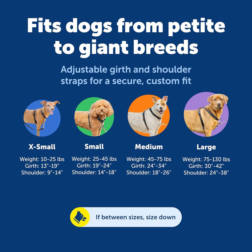 PetSafe 3 in 1 harness adjustable strap view