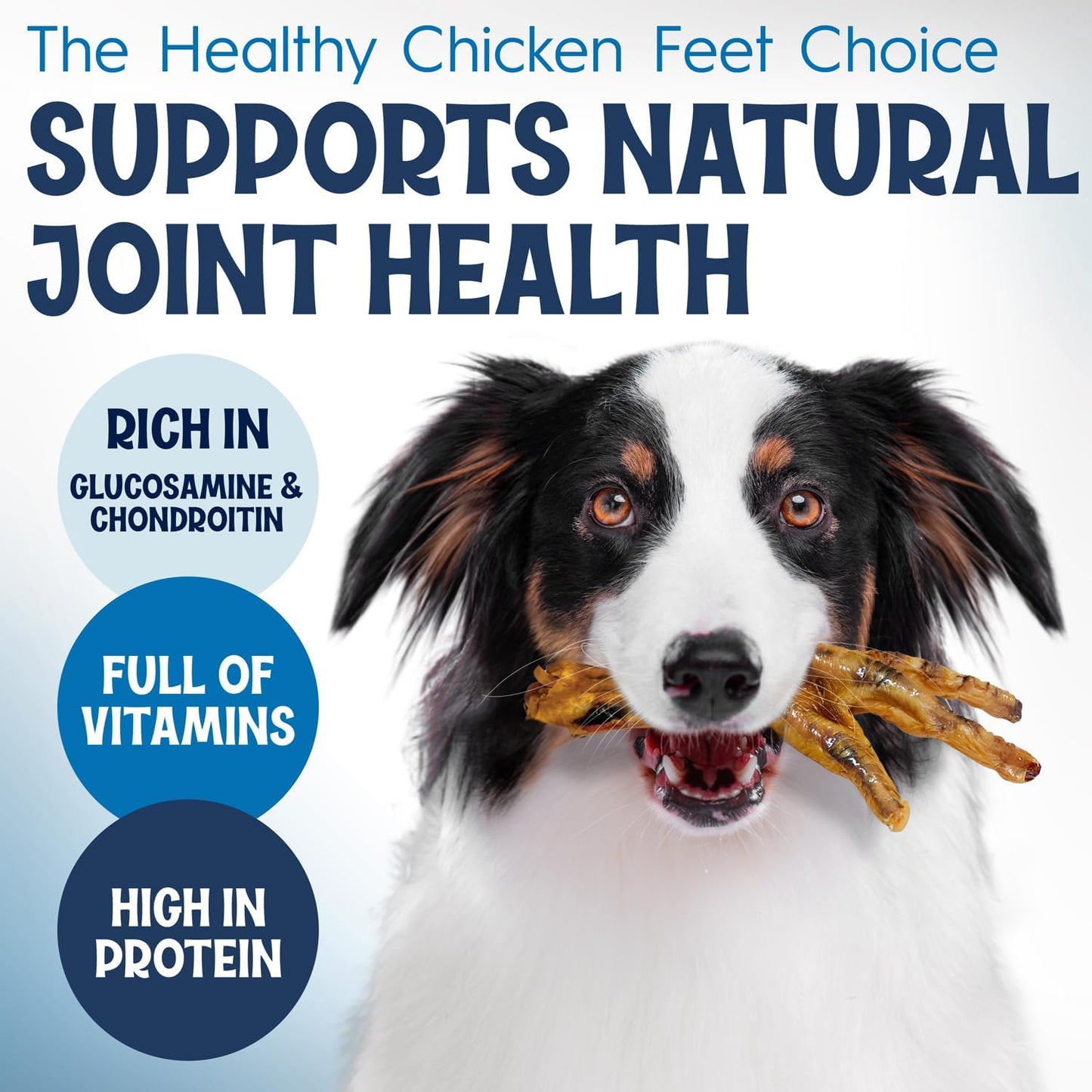 All natural single ingredient chicken feet dog treats rich in glucosamine