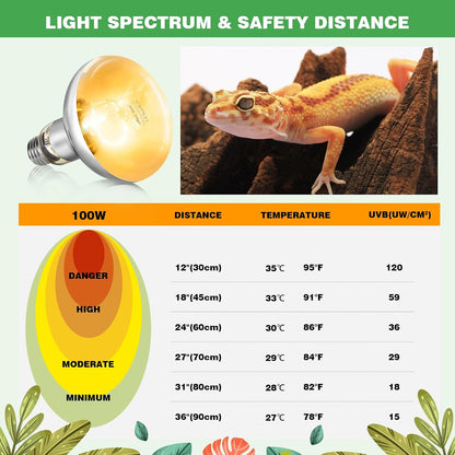 Repti Zoo reptile lighting fixture setup highlighting the intense basking spot beam